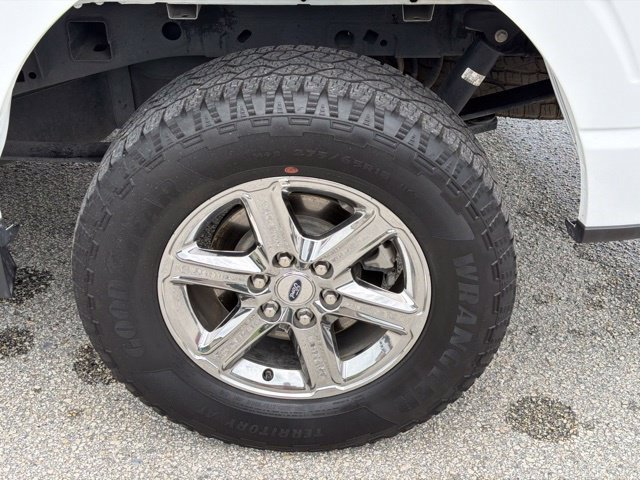 Used 2025 Ford F150 XLT w/ Equipment Group 301A Standard AWD/4WD image 16