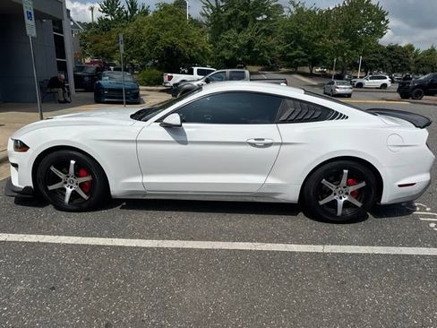 Used 2019 Ford Mustang Coupe w/ Equipment Group 101A RWD image 13
