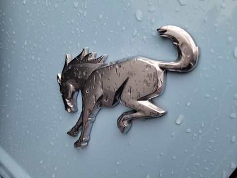 Certified 2023 Ford Bronco Heritage Edition image 6