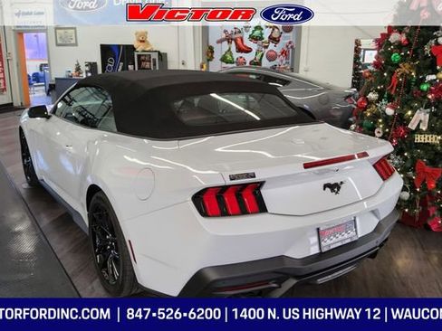Used 2025 Ford Mustang Premium image 3