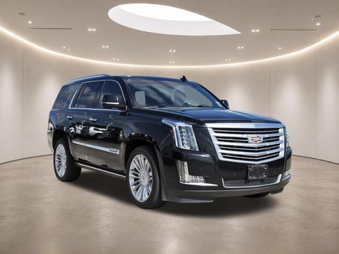 Used 2016 Cadillac Escalade Platinum AWD/4WD image 1