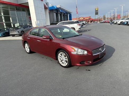 Used 2010 Nissan Maxima 3.5 SV w/ Cold Pkg image 2