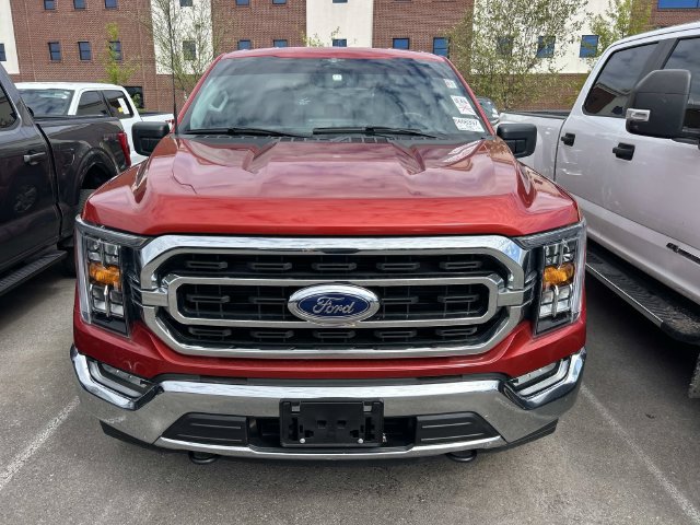Used 2023 Ford F150 XLT w/ Equipment Group 302A High AWD/4WD image 2