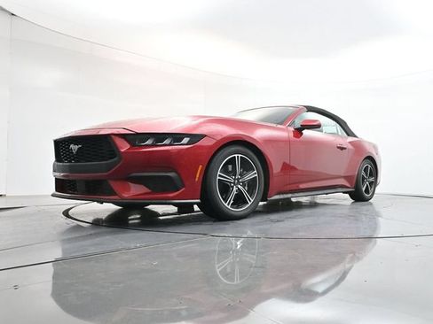 Used 2024 Ford Mustang Premium RWD image 24