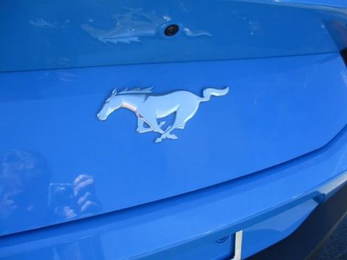 Used 2024 Ford Mustang EcoBoost image 20