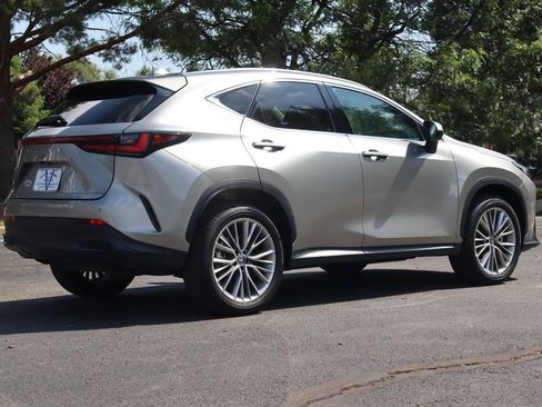 Used 2025 Lexus NX 350 AWD w/ Cold Area Package image 5