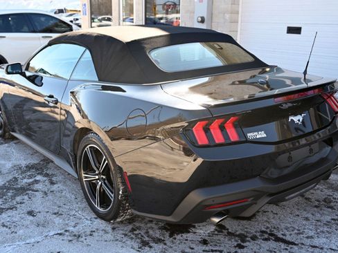 Used 2024 Ford Mustang Premium image 11