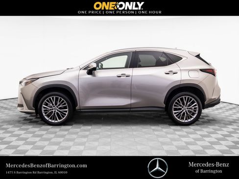 Used 2023 Lexus NX 350 AWD image 2