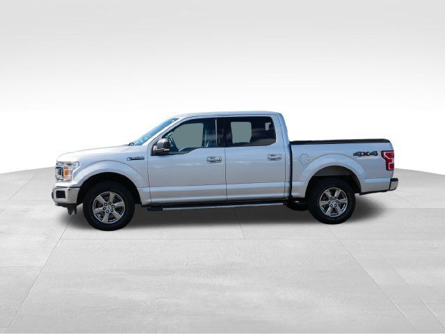 Used 2019 Ford F150 XLT w/ Equipment Group 302A Luxury AWD/4WD image 4