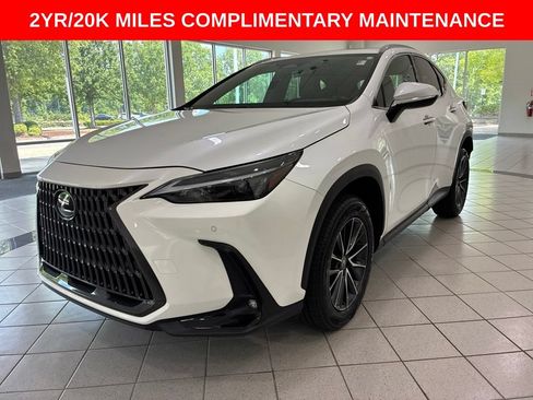 Certified 2024 Lexus NX 250 FWD image 3
