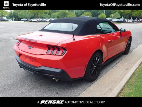 Used 2025 Ford Mustang Premium w/ Mustang Nite Pony Package RWD image 4