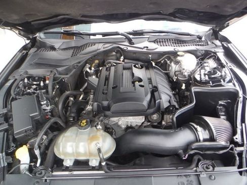 Used 2019 Ford Mustang Premium w/ Wheel & Stripe Package RWD image 7