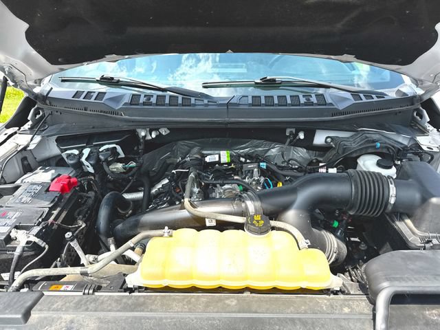 Used 2020 Ford F150 XLT w/ Equipment Group 302A Luxury AWD/4WD image 29