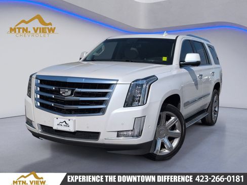Used 2017 Cadillac Escalade Luxury AWD/4WD image 1