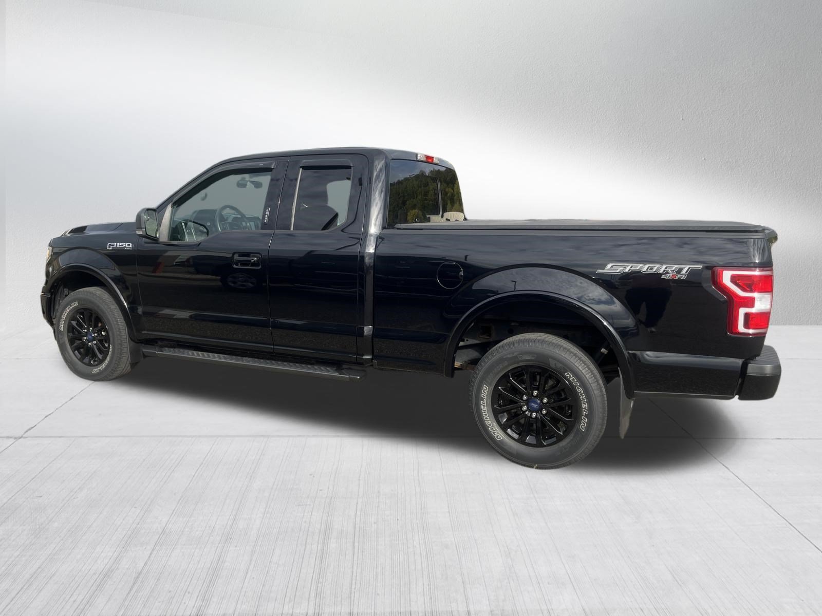 Used 2018 Ford F150 XLT w/ Equipment Group 302A Luxury AWD/4WD image 6