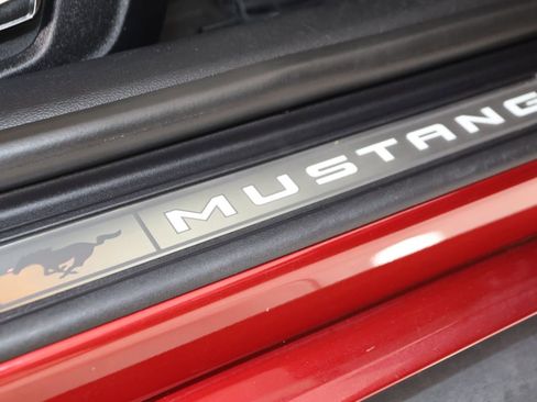 Used 2019 Ford Mustang Premium w/ Pony Package RWD image 14