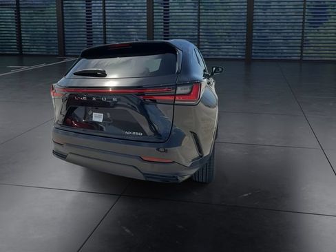 Used 2024 Lexus NX 250 FWD w/ Cold Area Package image 7