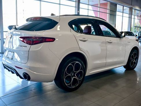 Used 2023 Alfa Romeo Stelvio Veloce image 6