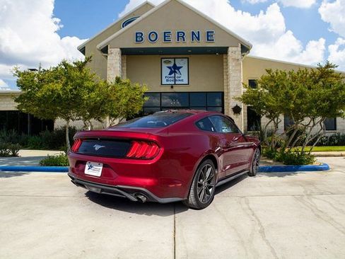 Used 2019 Ford Mustang Premium w/ Equipment Group 201A image 5