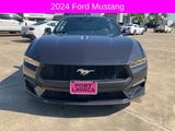 Used 2024 Ford Mustang Coupe image 2