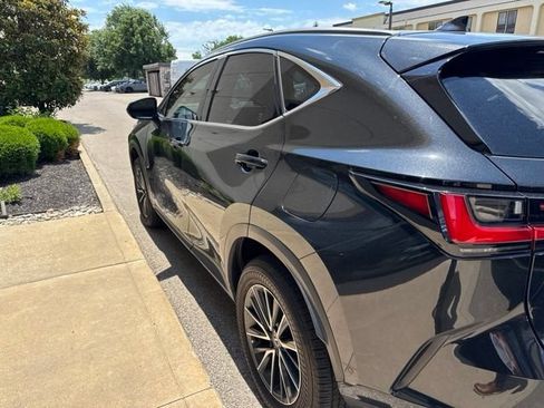 Used 2024 Lexus NX 350h AWD w/ Vision Package image 5