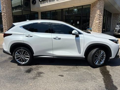 Used 2024 Lexus NX 350h AWD w/ Vision Package image 8