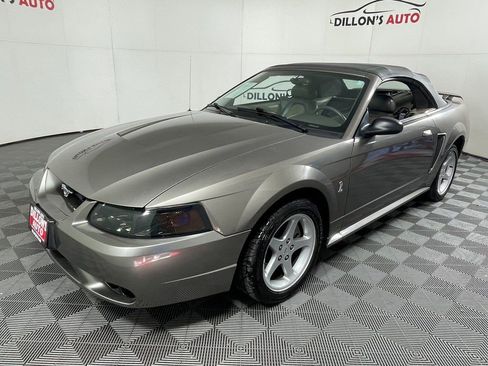 Used 2001 Ford Mustang Cobra image 2