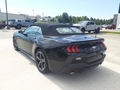 Used 2024 Ford Mustang Premium RWD image 3