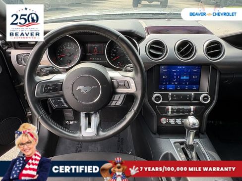 Used 2021 Ford Mustang GT w/ Equipment Group 301A RWD image 14