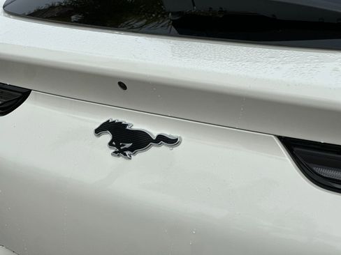 New 2025 Ford Mustang Mach-E Premium image 34