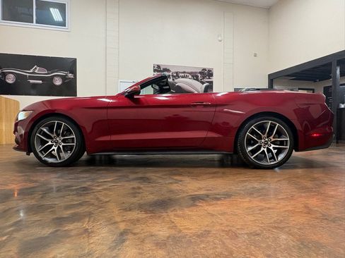 Used 2015 Ford Mustang Premium RWD image 6