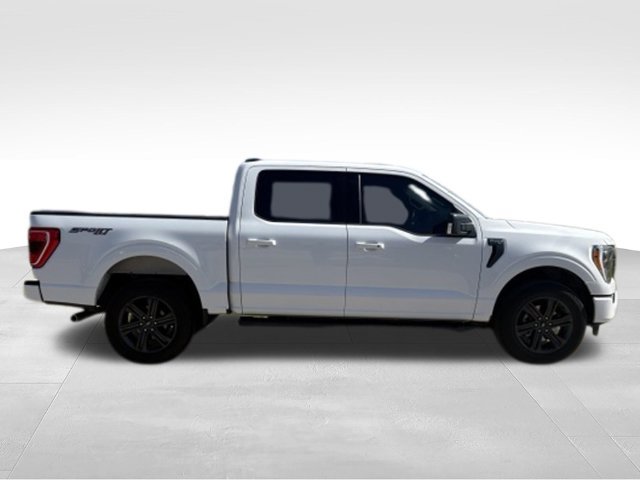 Used 2023 Ford F150 XLT w/ Equipment Group 302A High AWD/4WD image 19