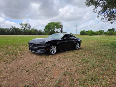 New 2026 Ford Mustang Coupe image 1