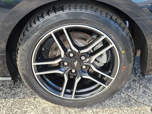 Used 2022 Ford Mustang Premium RWD image 6