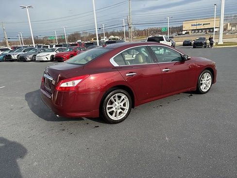 Used 2010 Nissan Maxima 3.5 SV w/ Cold Pkg image 7