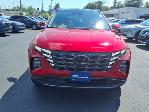 Used 2023 Hyundai Tucson Limited AWD/4WD image 2