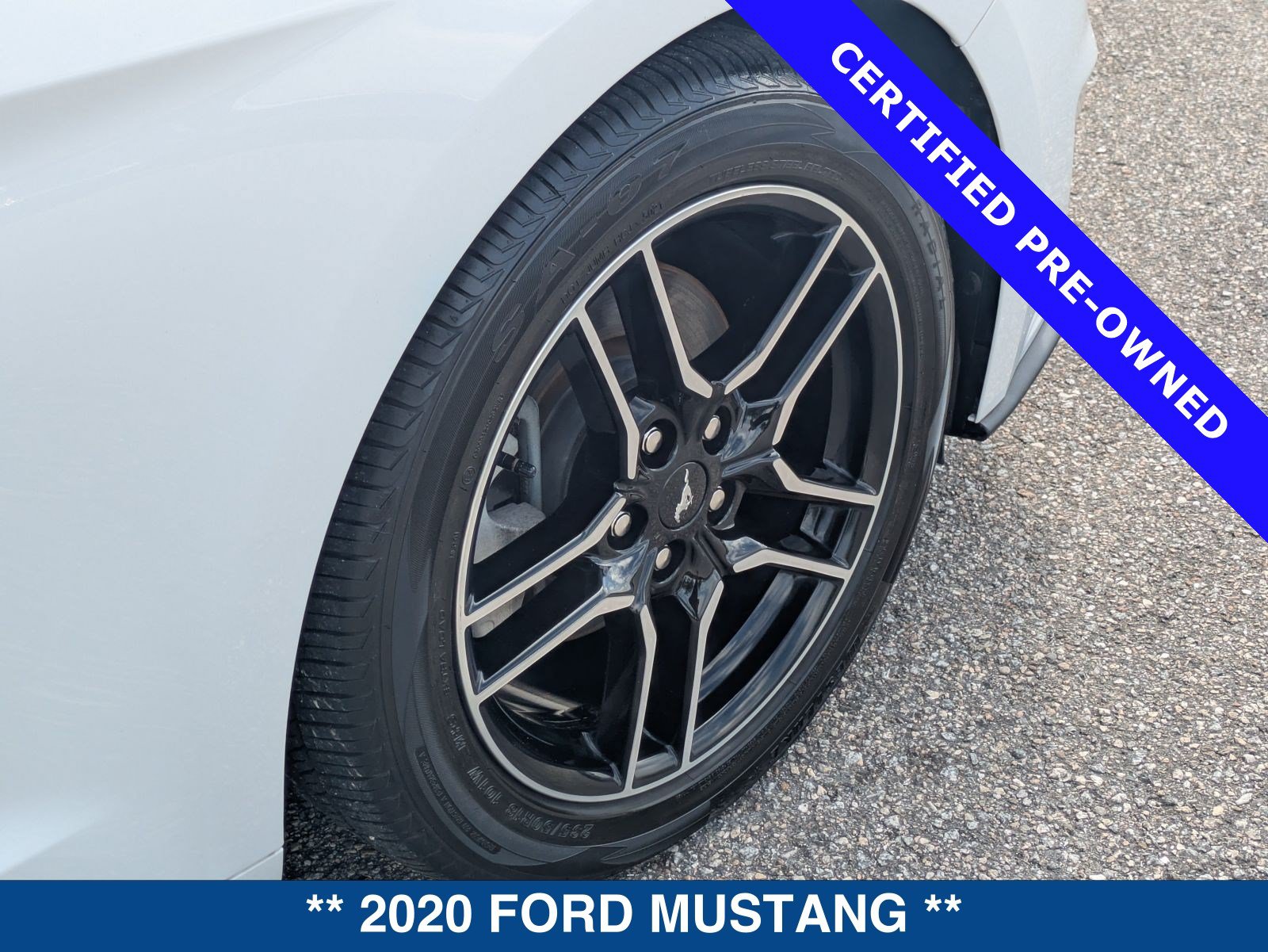 Certified 2020 Ford Mustang Premium RWD image 13