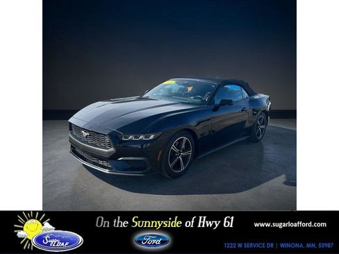 Used 2025 Ford Mustang Premium image 1