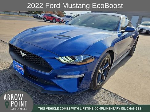 Used 2022 Ford Mustang Coupe w/ Equipment Group 101A image 4