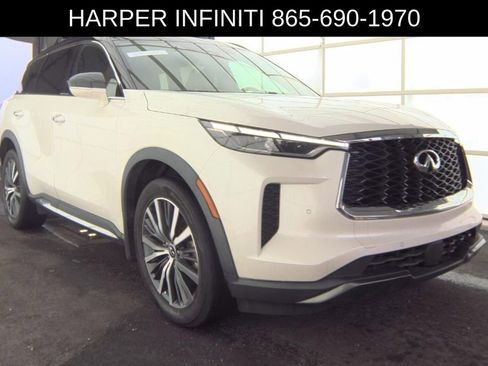 Used 2023 INFINITI QX60 Autograph w/ Cargo Package image 4