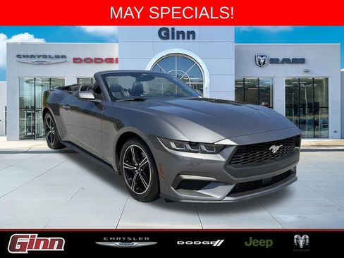 Used 2024 Ford Mustang Premium RWD image 1