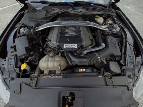 Used 2016 Ford Mustang GT Premium w/ Equipment Group 401A RWD image 5