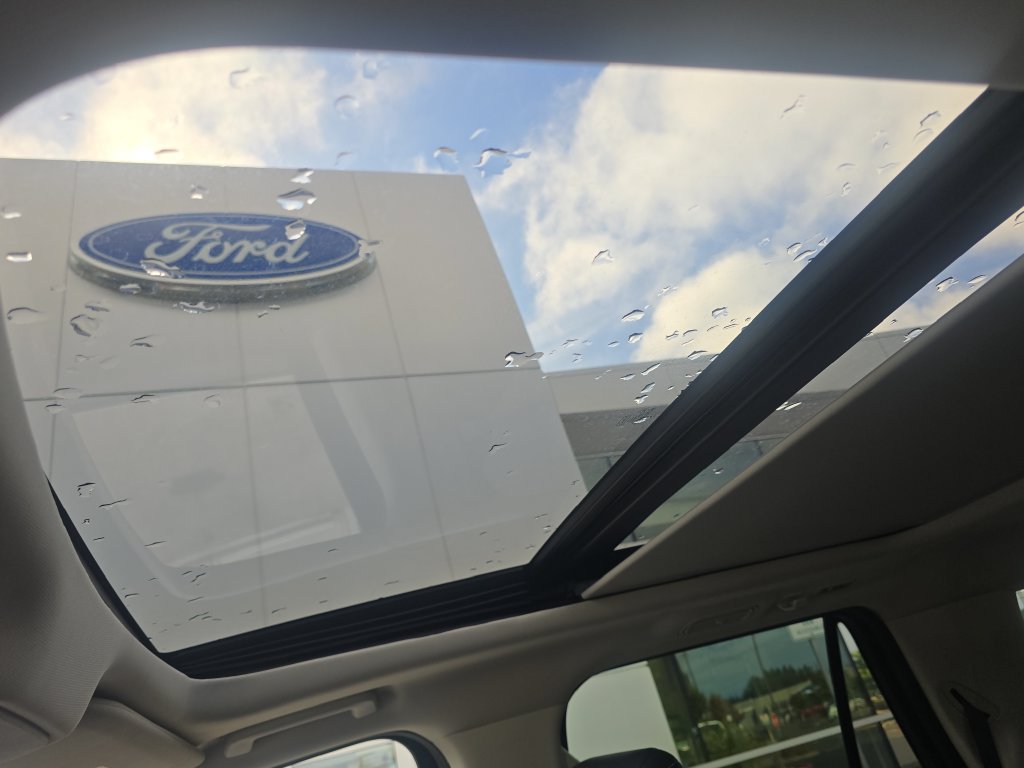 Used 2025 Ford Expedition Max Platinum AWD/4WD image 43