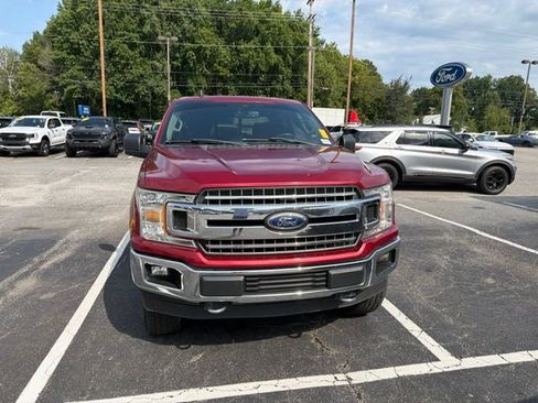 Used 2019 Ford F150 XLT w/ Equipment Group 302A Luxury AWD/4WD image 3