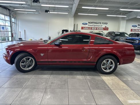 Used 2009 Ford Mustang Coupe image 14