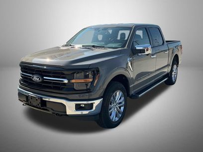 Used 2025 Ford F150 XLT w/ Equipment Group 302A MID