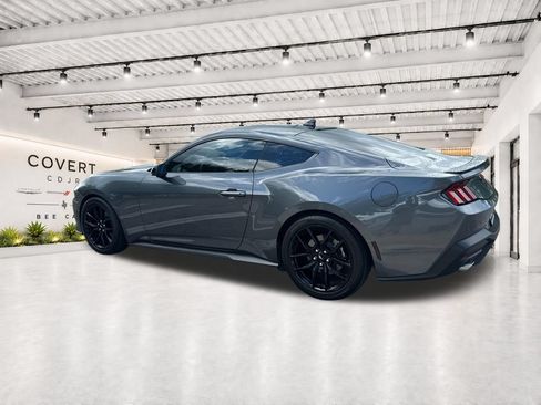 Used 2024 Ford Mustang Premium w/ Mustang Nite Pony Package RWD image 8