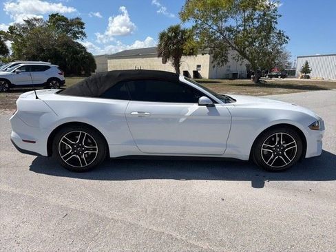 Used 2019 Ford Mustang Premium image 4