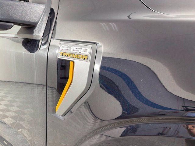 Used 2025 Ford F150 Tremor w/ Equipment Group 402A High AWD/4WD image 20