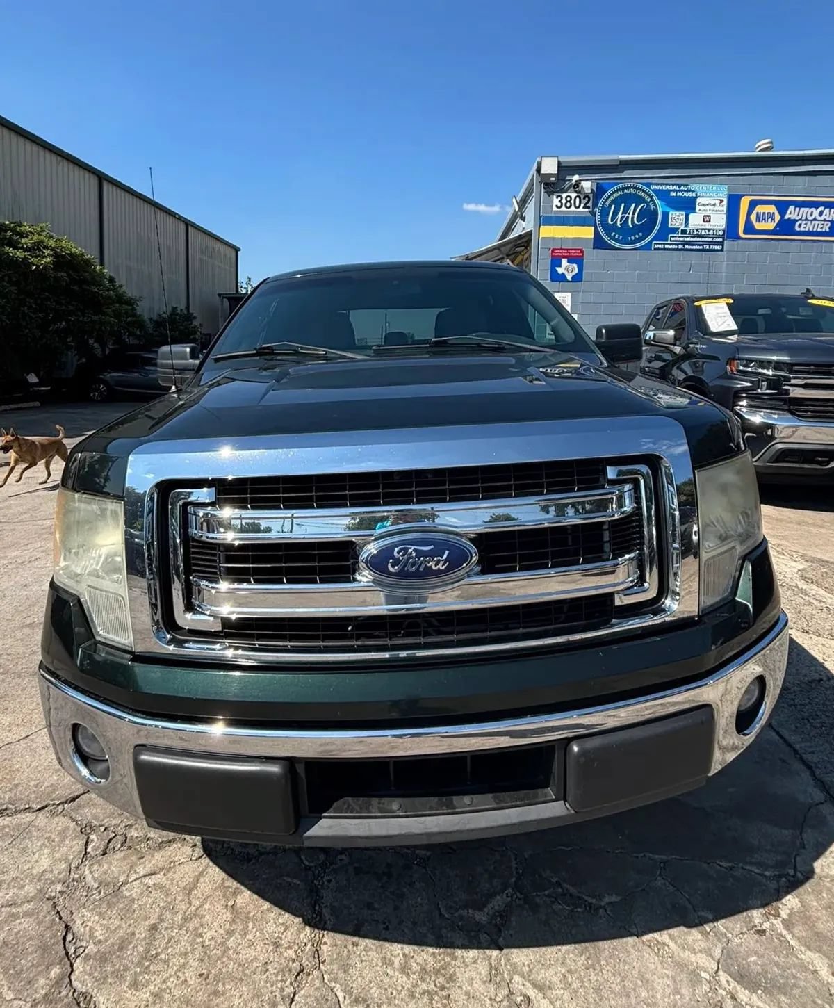 Used 2014 Ford F150 XLT RWD image 2